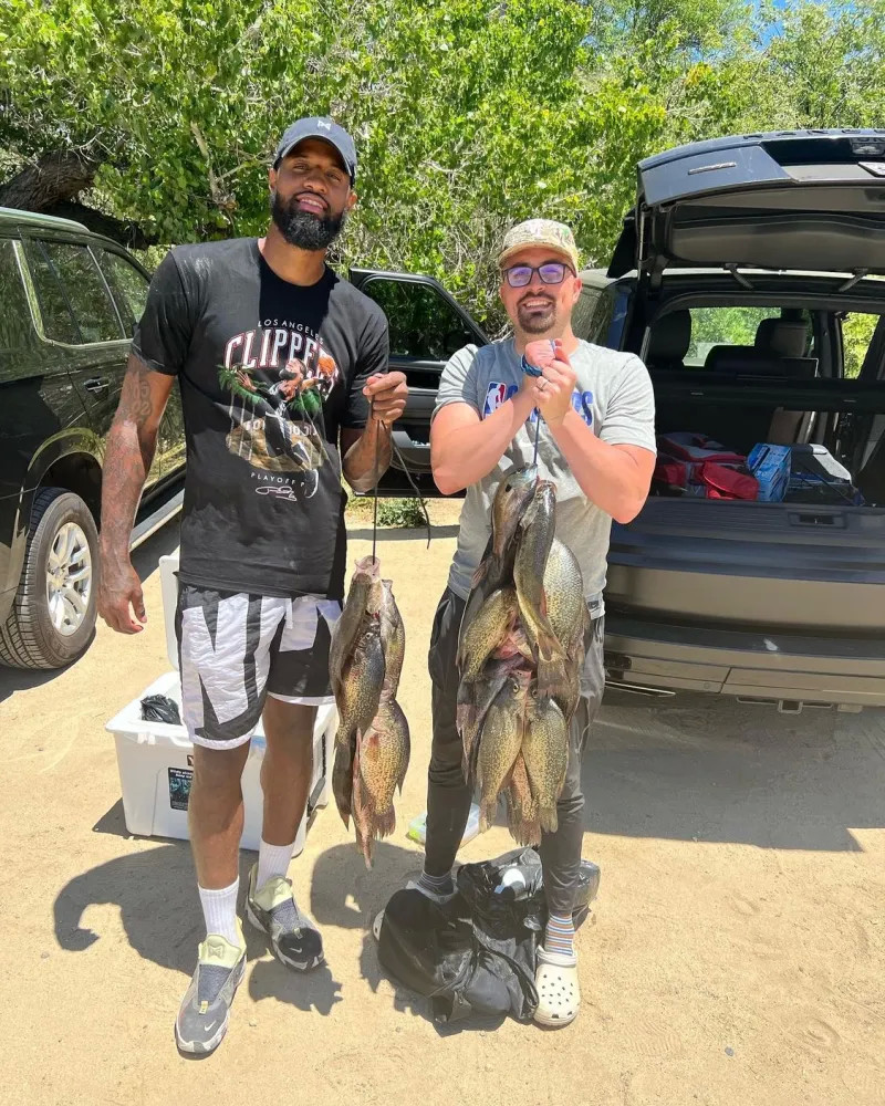 英足总的C 英足总的C