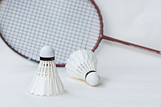 女子单打决 女子单打决