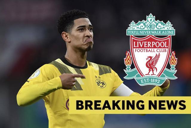 可疑交易报 可疑交易报